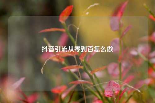 抖音引流从零到百怎么做