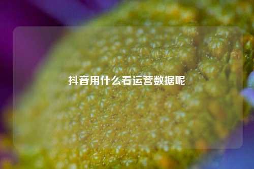 抖音用什么看运营数据呢