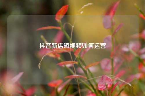 抖音新店短视频如何运营