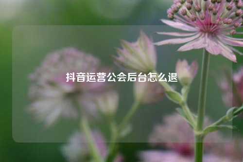 抖音运营公会后台怎么退