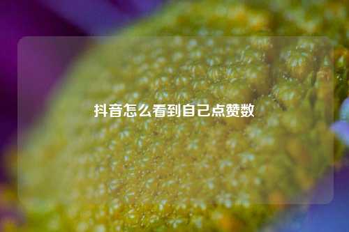 抖音怎么看到自己点赞数