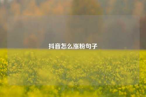 抖音怎么涨粉句子