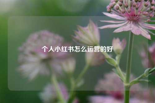 个人小红书怎么运营的好