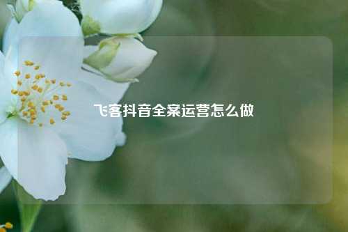 飞客抖音全案运营怎么做