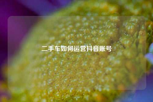 二手车如何运营抖音账号