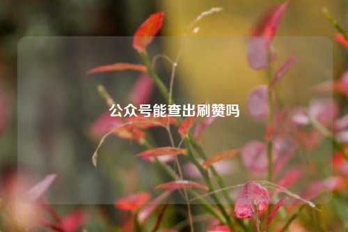 公众号能查出刷赞吗