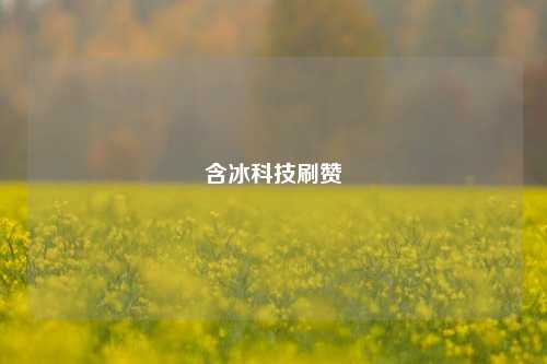 含冰科技刷赞