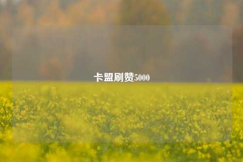 卡盟刷赞5000