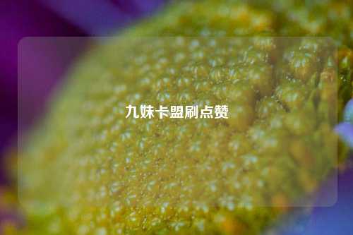 九妹卡盟刷点赞