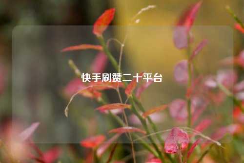 快手刷赞二十平台