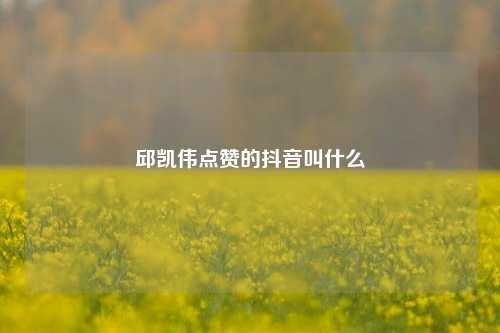 邱凯伟点赞的抖音叫什么