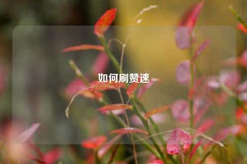如何刷赞速