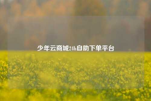 少年云商城24h自助下单平台