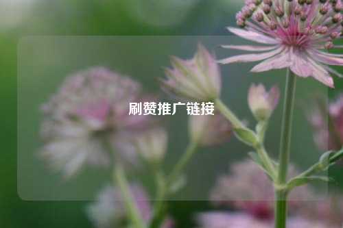 刷赞推广链接