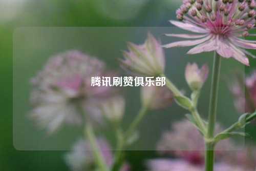 腾讯刷赞俱乐部