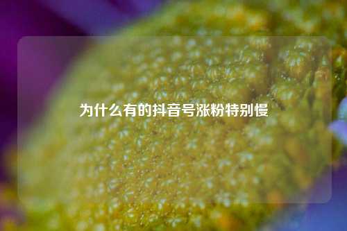 为什么有的抖音号涨粉特别慢