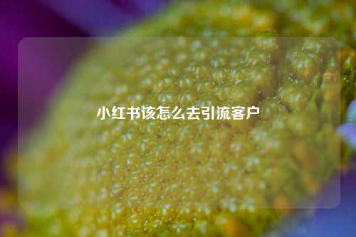 小红书该怎么去引流客户