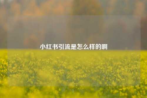 小红书引流是怎么样的啊