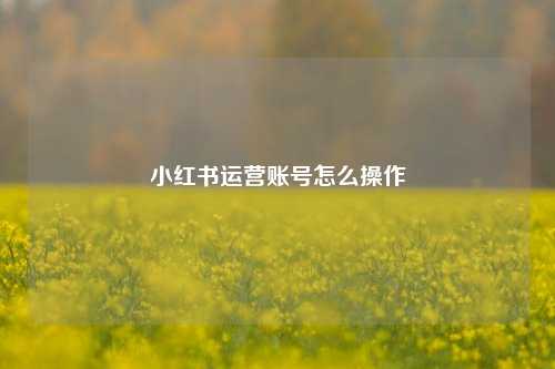 小红书运营账号怎么操作
